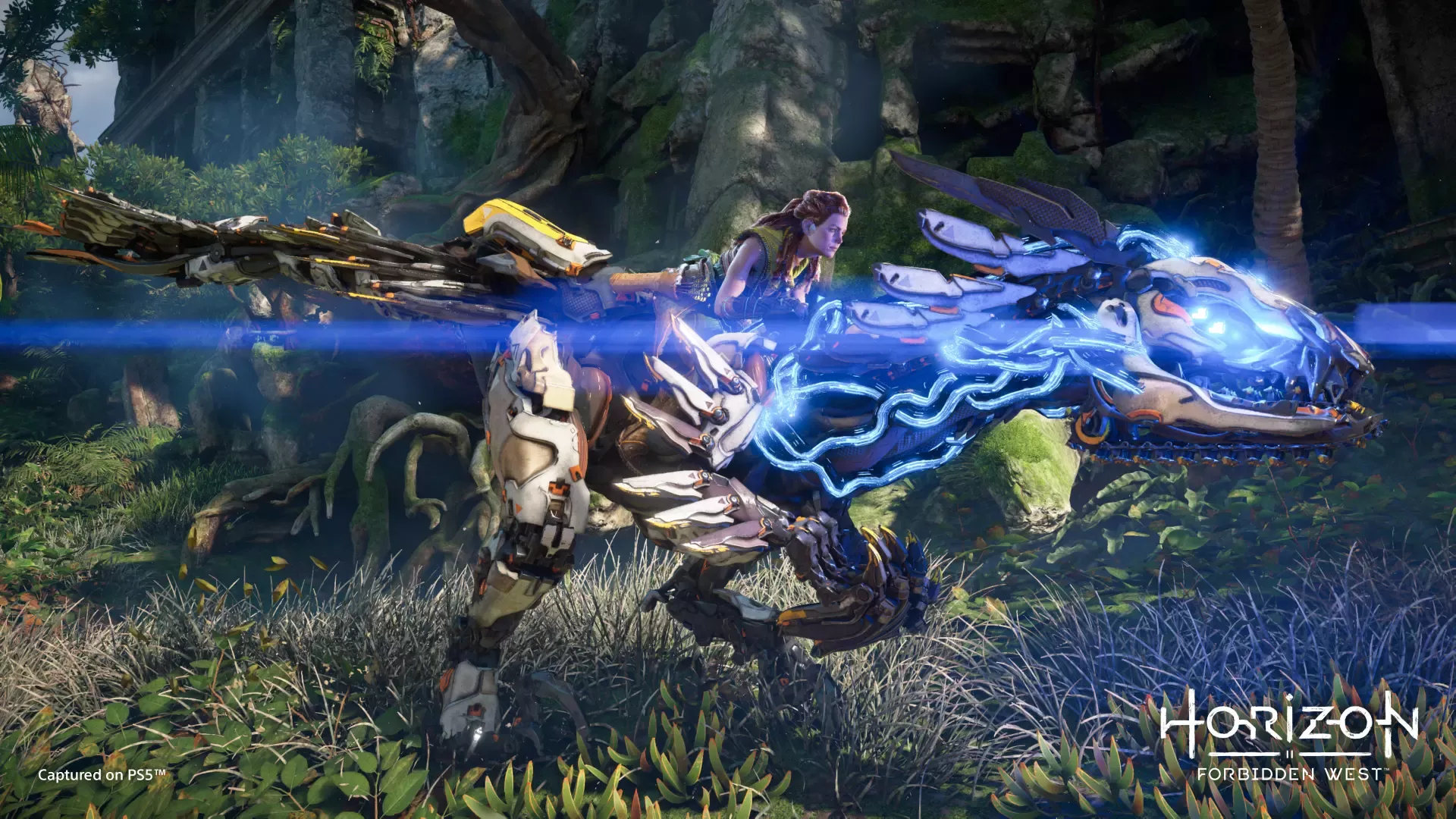 Horizon Forbidden West 1